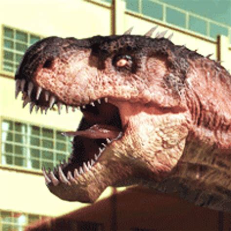rio rex play on poki.